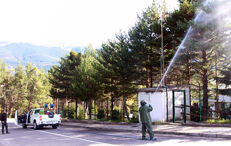 Los fumigadores de la empresa Ambién aplicando el tratamiento en los pinares de la urbanización Santiago de Villanúa